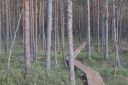 img-2090