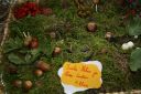 img-2263