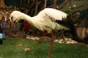 img-2768